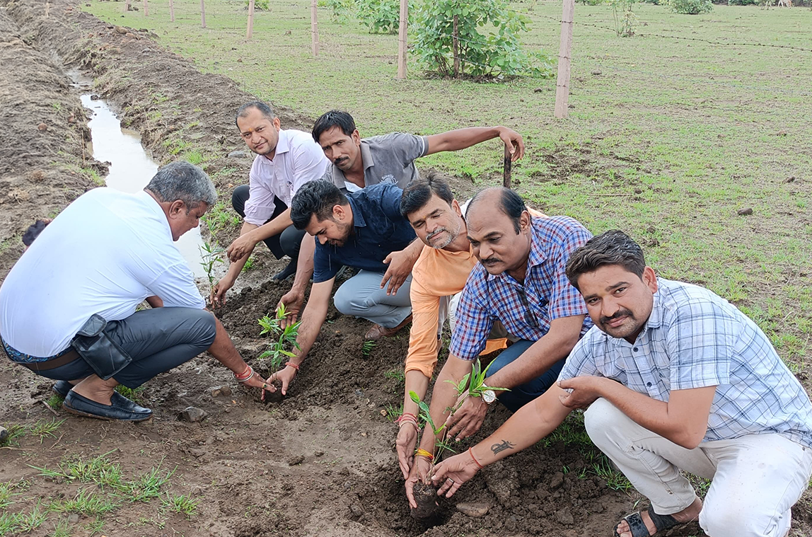 Community working in the field